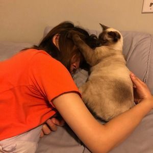 Meet your Posher, Song